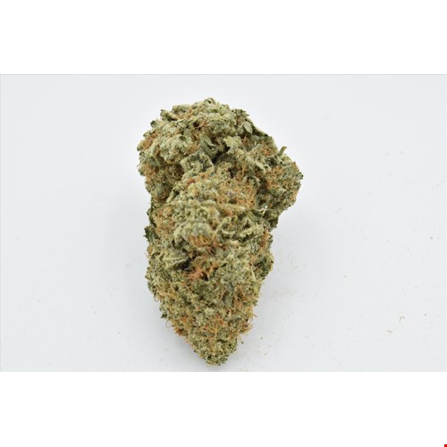Rotten Apples (Hybrid) - SALE 1 OZ $75